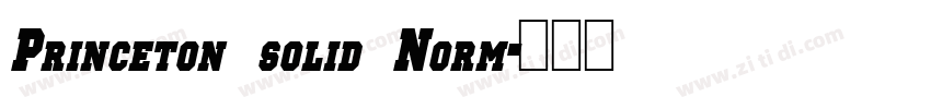 Princeton solid Norm字体转换